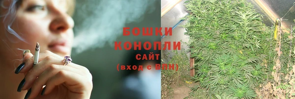 гидропоника Аркадак